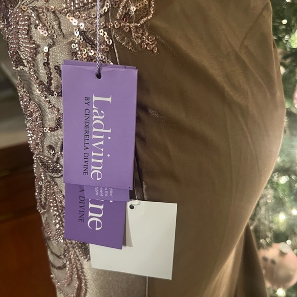 Elegant Embellished Evening Gown - Picture 16 of 16